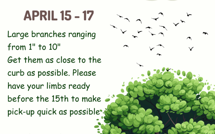 Large Branch Pick-Up April 15-17